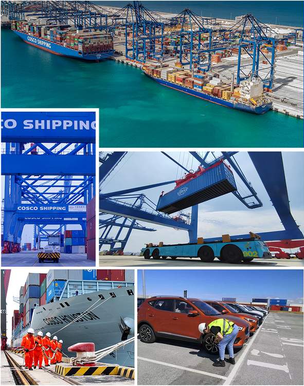 International ocean vehicle shipment