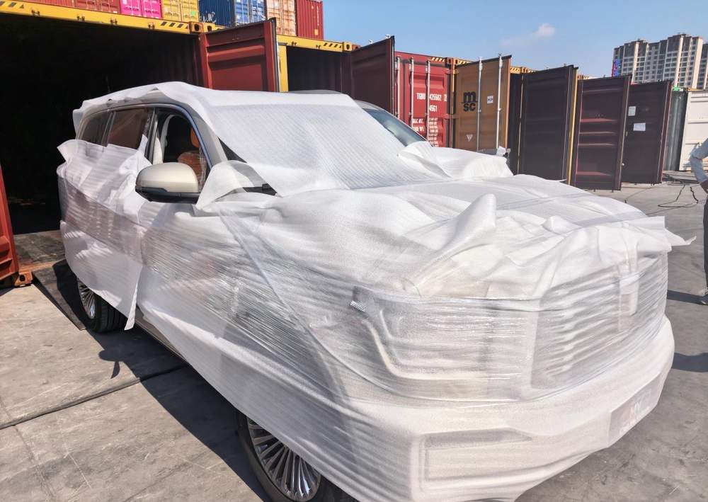 Vehicle export protection